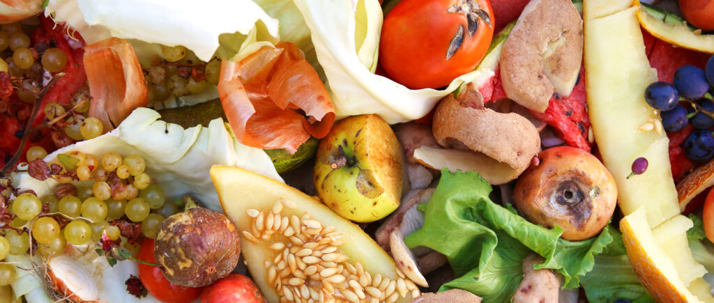 Waste not , want not. How much food waste do we really generate?