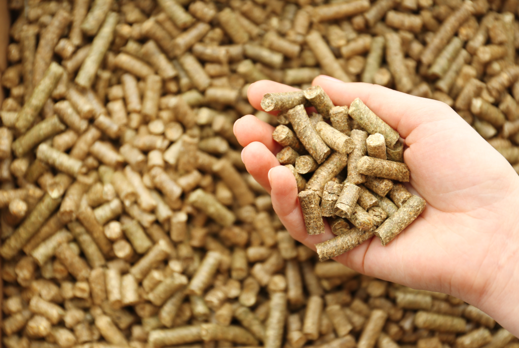 How we turned waste wood into a new product