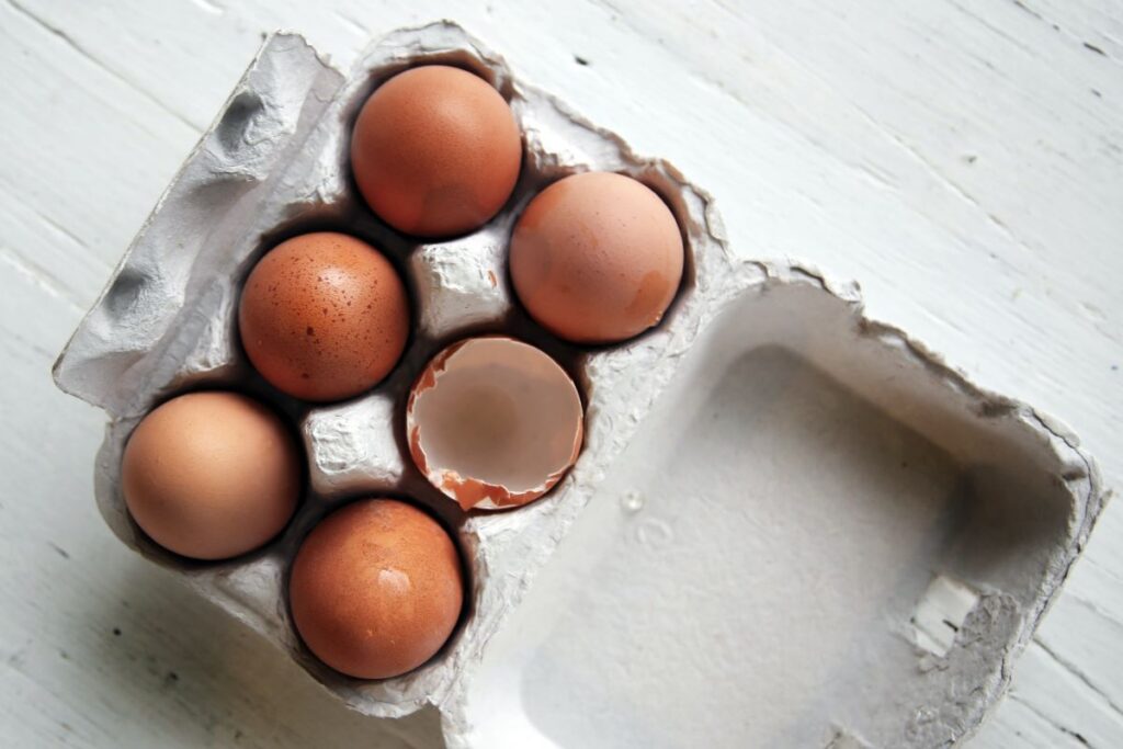 Eggs and egg shells which are food waste in a recycled box.
