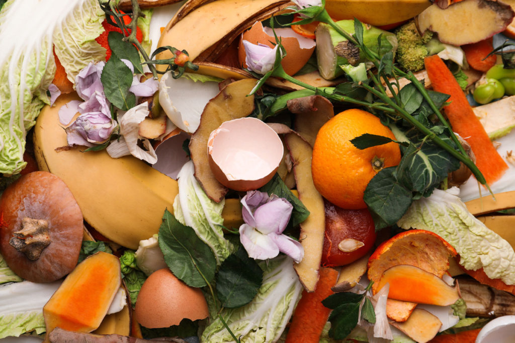 food waste scraps