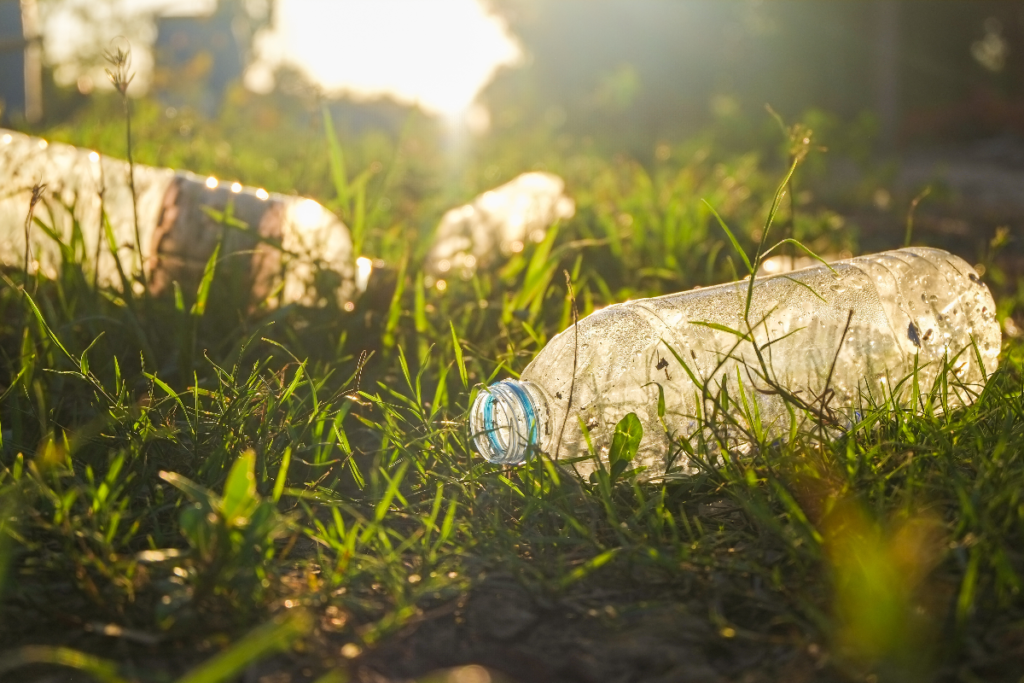 Single-use plastic water bottles littered in the grass